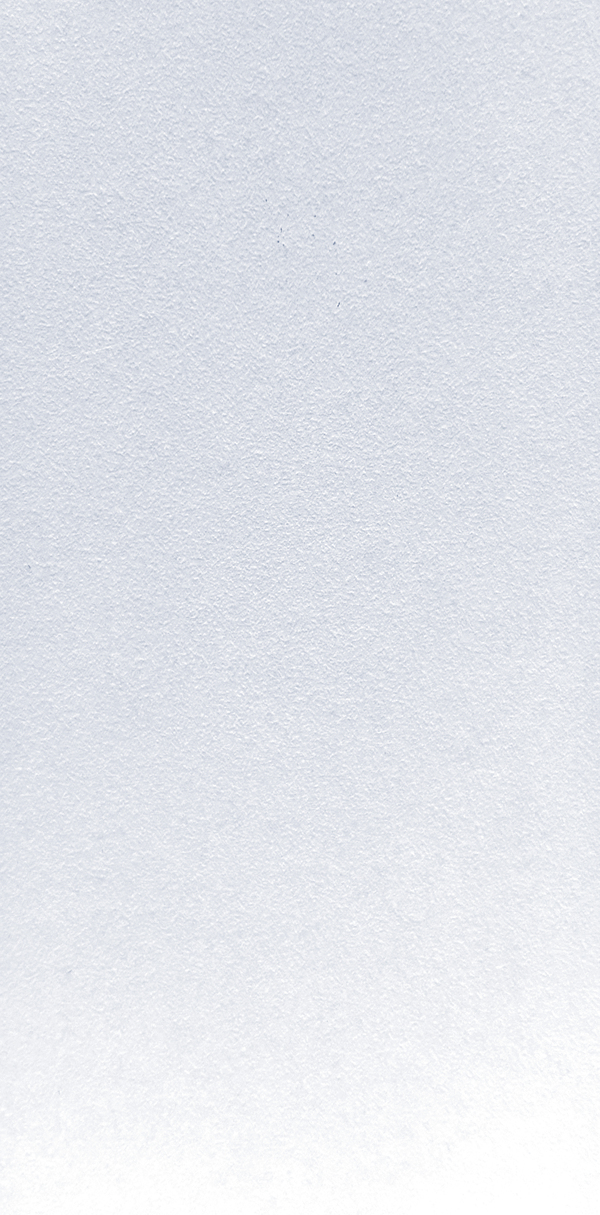 801 SUD | White