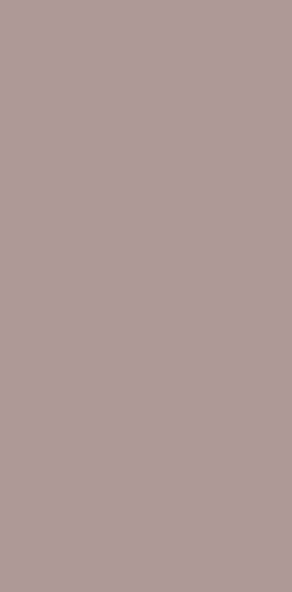 1825 MMT | Candor Brown