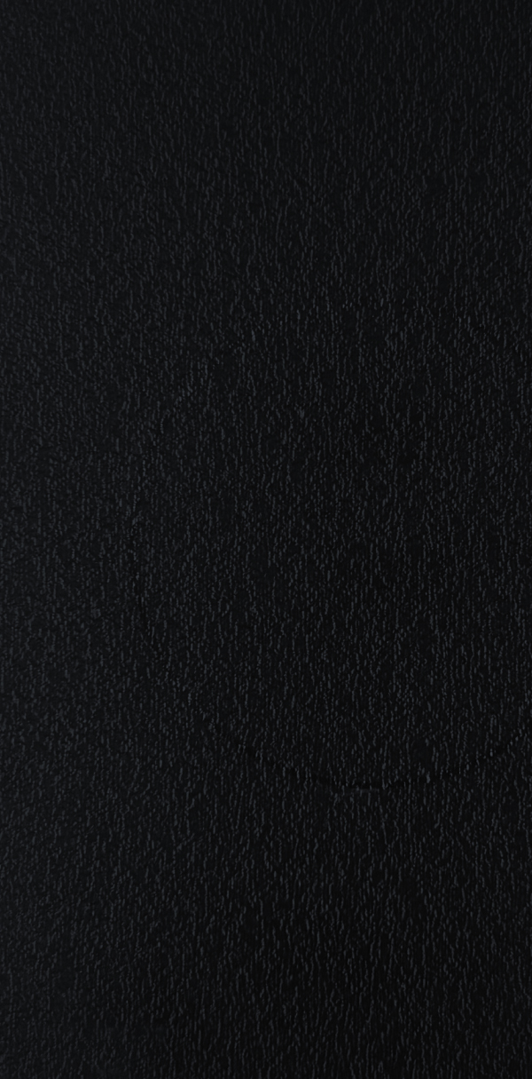 10105 PS | Black Spider