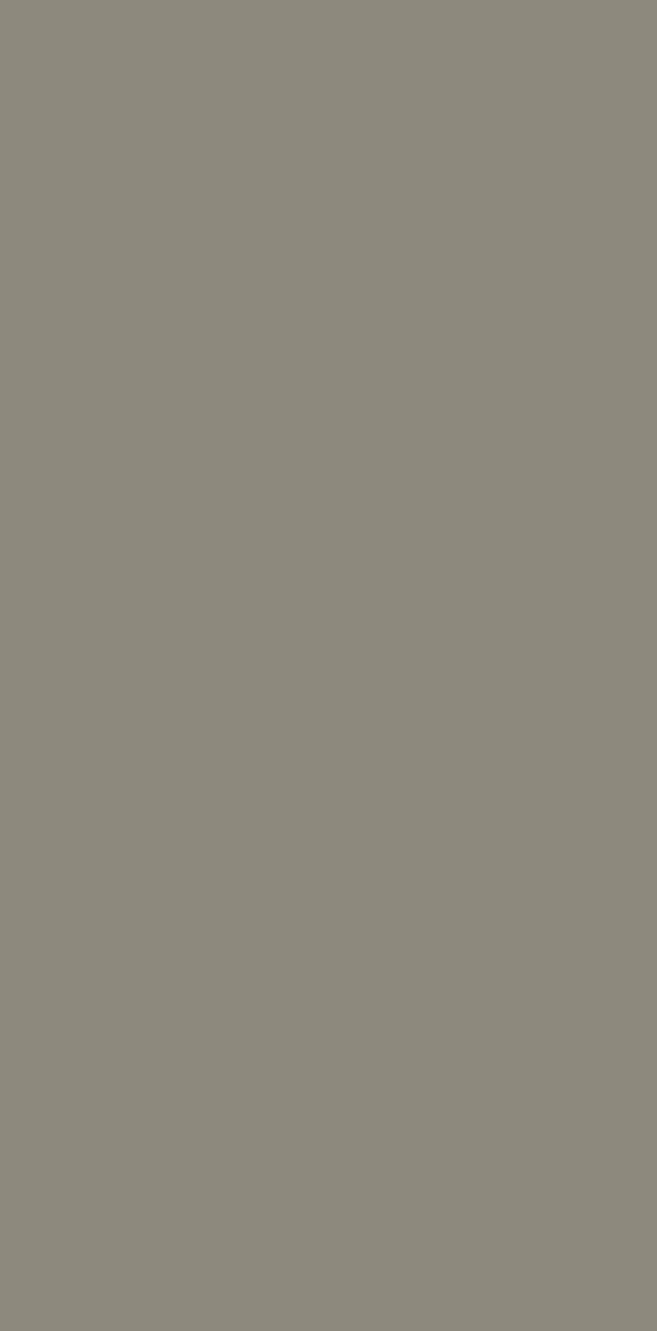 662 SUD | Corporate Brown